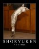 shoryuken_cat.sized.jpg